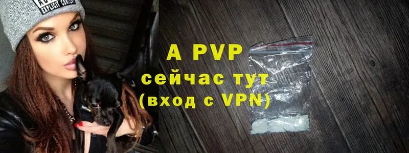 Alfa_PVP СК  Бобров 