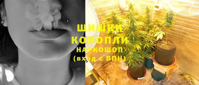 Шишки марихуана Ganja  Бобров 